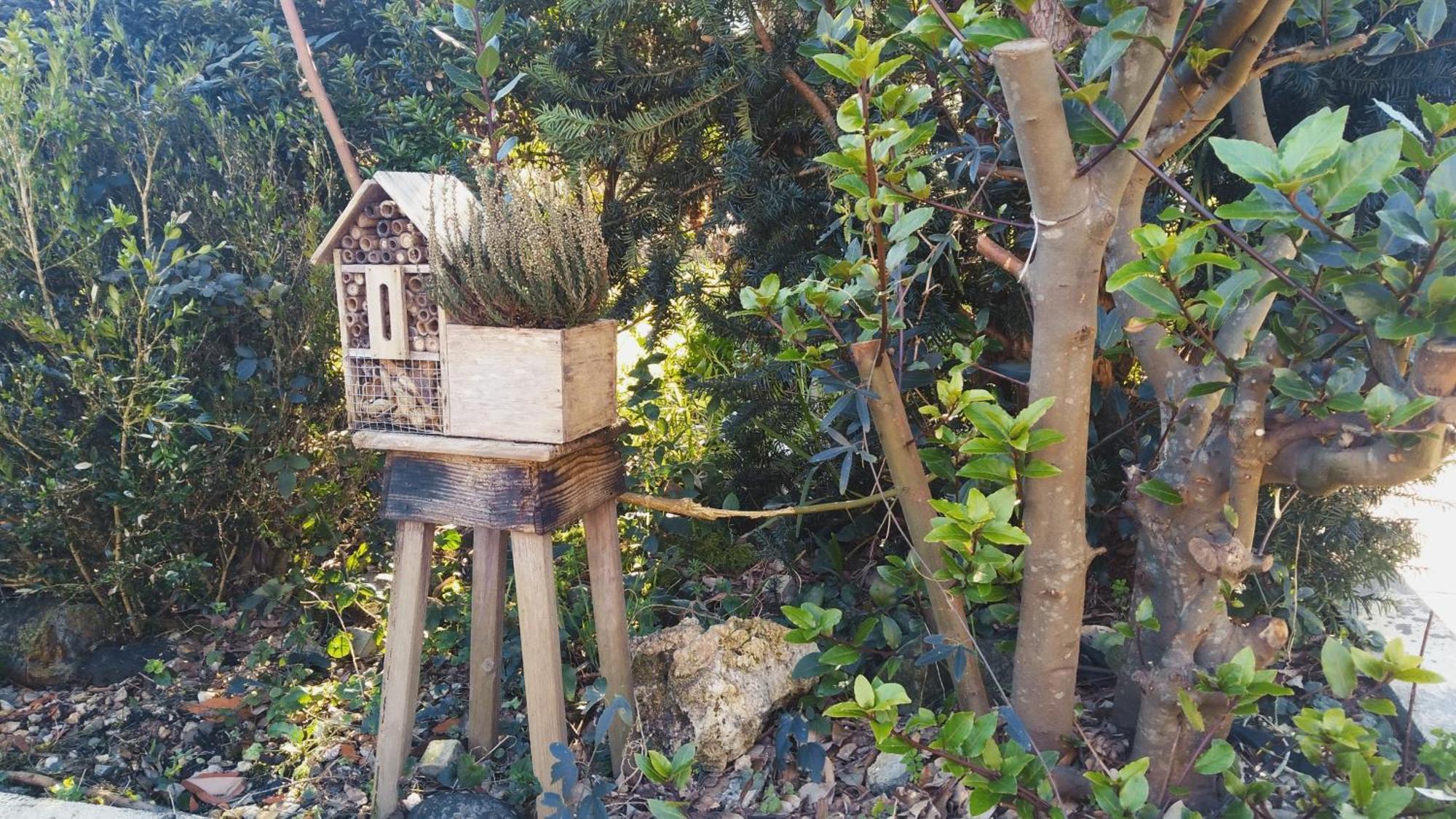 Casa Iriana - Parking Gratis I Jardin I Barbacoa Villa Ourense Buitenkant foto