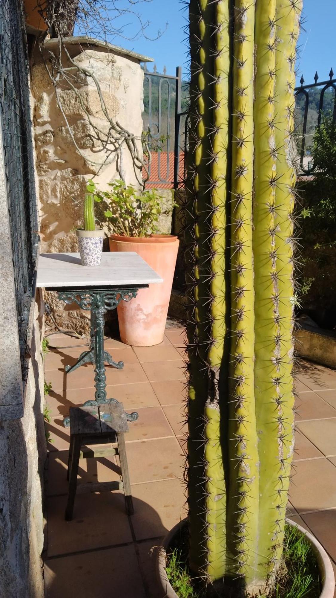 Casa Iriana - Parking Gratis I Jardin I Barbacoa Villa Ourense Buitenkant foto